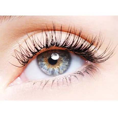 Eyes