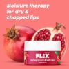 Plix Plix – Pomegranate Bright Lips Puddin’ Scrub - 3