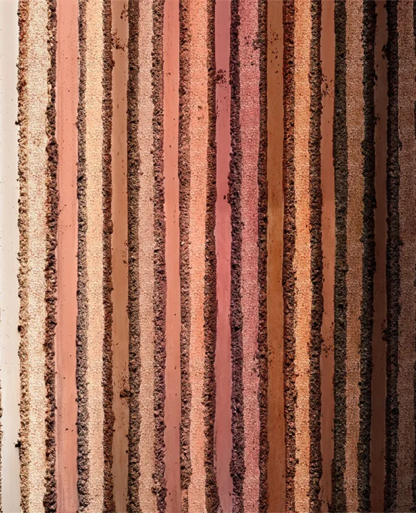 Too Faced Too Faced Born This Way The Natural Nudes Eye Shadow Palette(12.gm) - 8